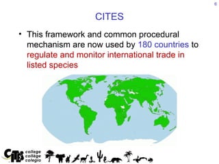 Cites Function Complete presentation on the_CITES (1).ppt