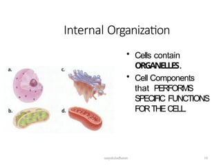 Internal Organization
• Cells contain
ORGANELLES.
• Cell Components
that PERFORMS
SPECIFIC FUNCTIONS
FORTHECELL.
sanjukaladharan 16
 