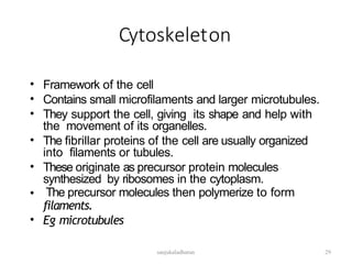 Cytoskeleton
•
•
•
Framework of the cell
Contains small microfilaments and larger microtubules.
They support the cell, giving its shape and help with
the movement of its organelles.
The fibrillar proteins of the cell are usually organized
into filaments or tubules.
These originate as precursor protein molecules
synthesized by ribosomes in the cytoplasm.
The precursor molecules then polymerize to form
filaments.
Eg microtubules
•
•
•
•
29
sanjukaladharan
 