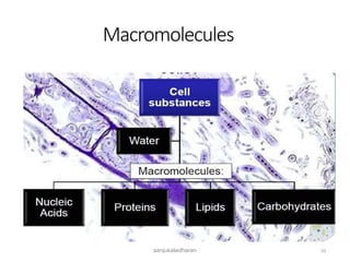 Macromolecules
35
sanjukaladharan
 