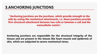 3.ANCHORING JUNCTIONS
“Anchoring junctions are the junctions, which provide strength to the
cells by acting like mechanical attachments, i.e. these junctions provide
firm structural attachment between two cells or between a cell and the
extracellular matrix”.
Anchoring junctions are responsible for the structural integrity of the
tissues and are present in the tissues like heart muscle and epidermis of
skin, which are subjected to severe mechanical stress.
 