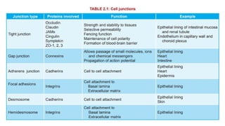 Cell junctions and cellular communications .pptx