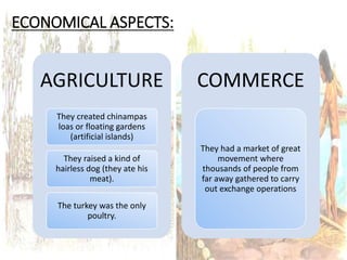 ECONOMICAL ASPECTS:
AGRICULTURE
They created chinampas
loas or floating gardens
(artificial islands)
They raised a kind of
hairless dog (they ate his
meat).
The turkey was the only
poultry.
COMMERCE
They had a market of great
movement where
thousands of people from
far away gathered to carry
out exchange operations
 