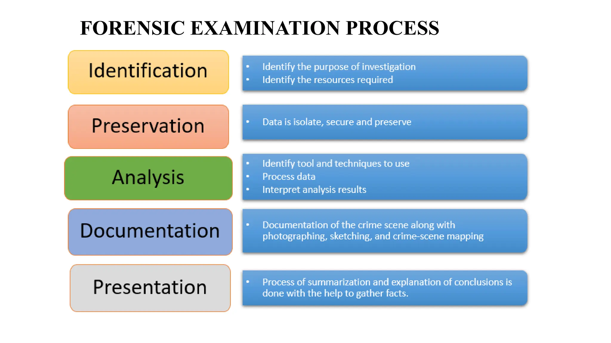 FORENSIC EXAMINATION PROCESS
 