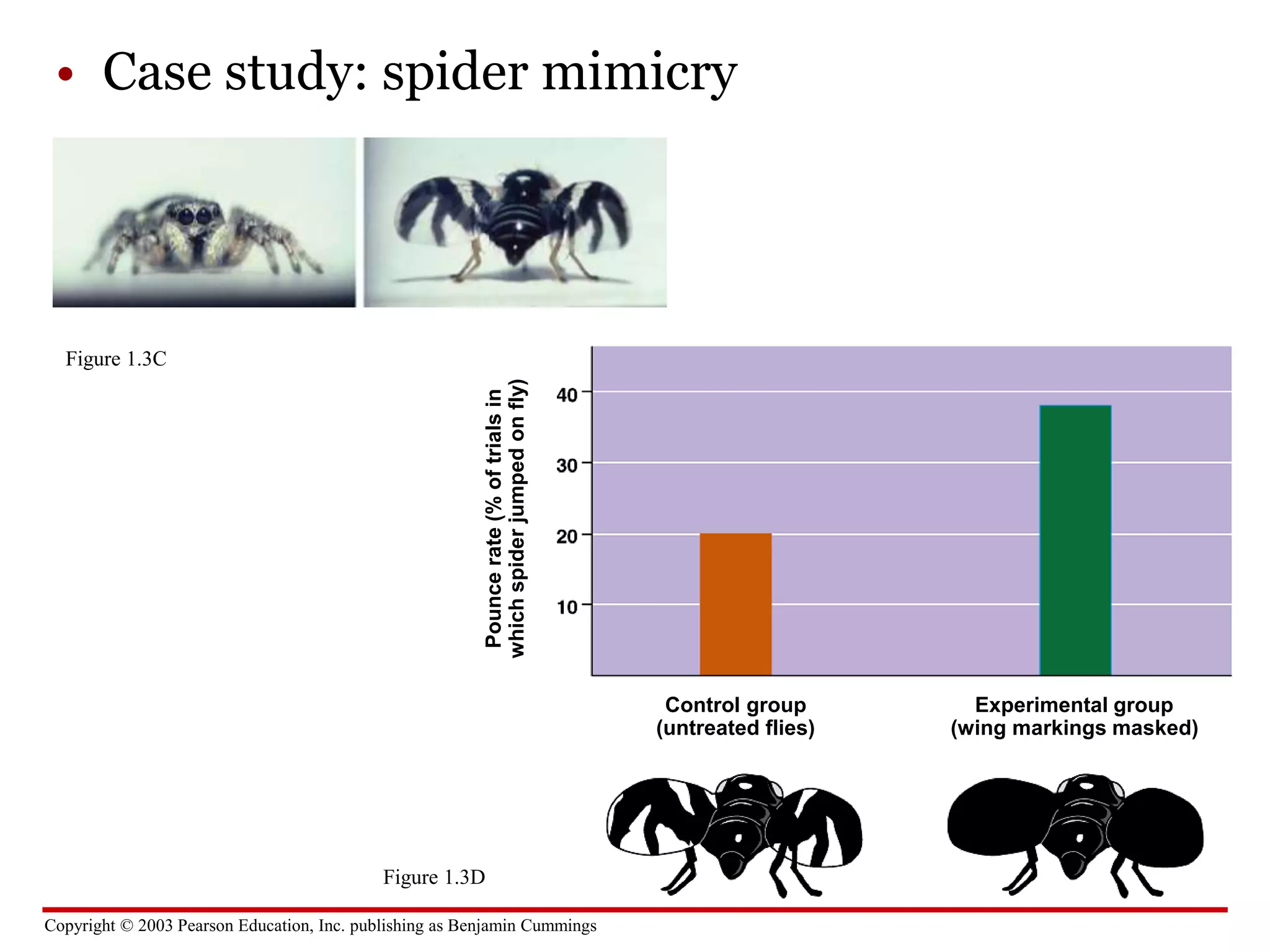 Copyright © 2003 Pearson Education, Inc. publishing as Benjamin Cummings
• Case study: spider mimicry
Pounce
rate
(%
of
trials
in
which
spider
jumped
on
fly)
Control group
(untreated flies)
Experimental group
(wing markings masked)
Figure 1.3C
Figure 1.3D
 