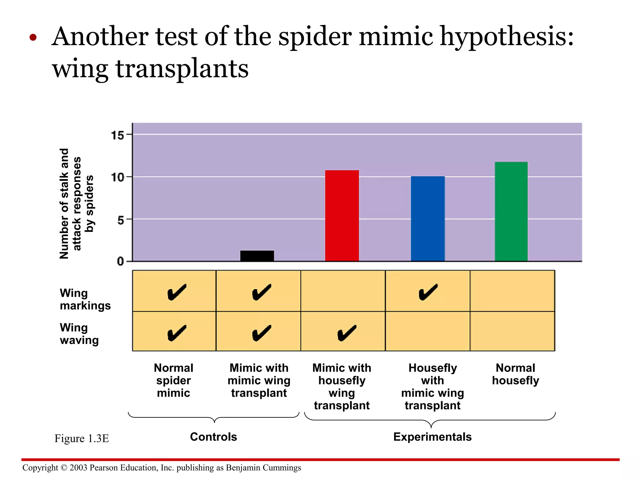 Copyright © 2003 Pearson Education, Inc. publishing as Benjamin Cummings
• Another test of the spider mimic hypothesis:
wing transplants
Number
of
stalk
and
attack
responses
by
spiders
Wing
markings
Normal
spider
mimic
Figure 1.3E
Wing
waving
Mimic with
mimic wing
transplant
Controls Experimentals
Mimic with
housefly
wing
transplant
Housefly
with
mimic wing
transplant
Normal
housefly
 