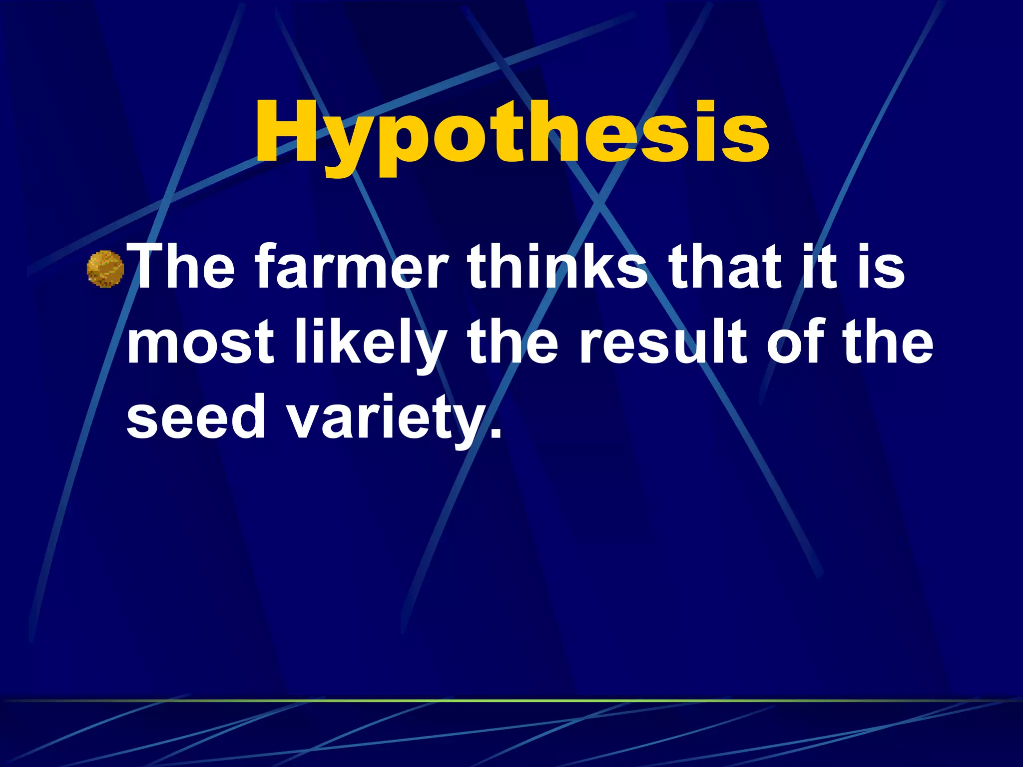 Hypothesis
The farmer thinks that it is
most likely the result of the
seed variety.
 