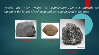 Study of rocks and types of rocks - Petrology.pdf