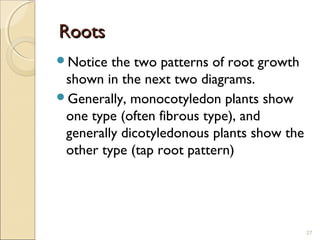 Root Based Patterns Unit 1 classification biodiversity presentation | PPT