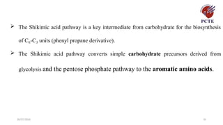 30/07/2026 10
 The Shikimic acid pathway is a key intermediate from carbohydrate for the biosynthesis
of C -C units (phenyl propane derivative).
₆ ₃
 The Shikimic acid pathway converts simple carbohydrate precursors derived from
glycolysis and the pentose phosphate pathway to the aromatic amino acids.
 