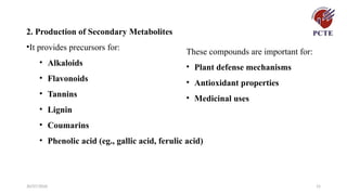 30/07/2026 15
2. Production of Secondary Metabolites
•It provides precursors for:
• Alkaloids
• Flavonoids
• Tannins
• Lignin
• Coumarins
• Phenolic acid (eg., gallic acid, ferulic acid)
These compounds are important for:
• Plant defense mechanisms
• Antioxidant properties
• Medicinal uses
 