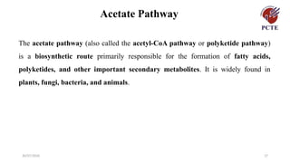 30/07/2026 17
Acetate Pathway
The acetate pathway (also called the acetyl-CoA pathway or polyketide pathway)
is a biosynthetic route primarily responsible for the formation of fatty acids,
polyketides, and other important secondary metabolites. It is widely found in
plants, fungi, bacteria, and animals.
 