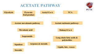 ACETATE PATHWAY
Glycolysis Pyruvate
End product
Acetyl Co-A TCA
Acetate mevalonate pathway Acetate melonate pathway-
Mevalonic acid Malonyl Co-A
terpenes & steroids
Long chain fatty acids &
polyketides
Isoprenoids
Squalene
Steroids
Lipids, fats , waxes
 