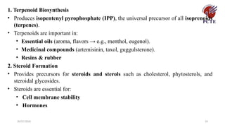 30/07/2026 24
1. Terpenoid Biosynthesis
• Produces isopentenyl pyrophosphate (IPP), the universal precursor of all isoprenoids
(terpenes).
• Terpenoids are important in:
• Essential oils (aroma, flavors → e.g., menthol, eugenol).
• Medicinal compounds (artemisinin, taxol, guggulsterone).
• Resins & rubber
2. Steroid Formation
• Provides precursors for steroids and sterols such as cholesterol, phytosterols, and
steroidal glycosides.
• Steroids are essential for:
• Cell membrane stability
• Hormones
 