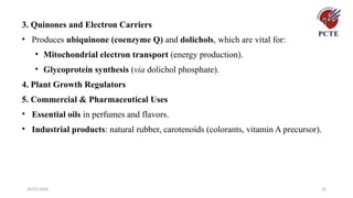 30/07/2026 25
3. Quinones and Electron Carriers
• Produces ubiquinone (coenzyme Q) and dolichols, which are vital for:
• Mitochondrial electron transport (energy production).
• Glycoprotein synthesis (via dolichol phosphate).
4. Plant Growth Regulators
5. Commercial & Pharmaceutical Uses
• Essential oils in perfumes and flavors.
• Industrial products: natural rubber, carotenoids (colorants, vitamin A precursor).
 