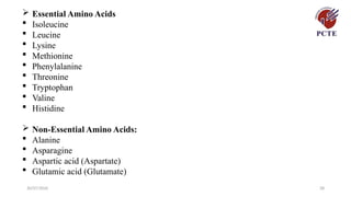 30/07/2026 28
 Essential Amino Acids
 Isoleucine
 Leucine
 Lysine
 Methionine
 Phenylalanine
 Threonine
 Tryptophan
 Valine
 Histidine
 Non-Essential Amino Acids:
 Alanine
 Asparagine
 Aspartic acid (Aspartate)
 Glutamic acid (Glutamate)
 