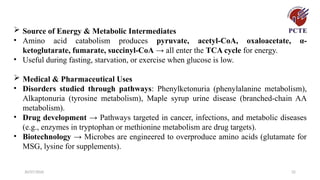 30/07/2026 32
 Source of Energy & Metabolic Intermediates
• Amino acid catabolism produces pyruvate, acetyl-CoA, oxaloacetate, α-
ketoglutarate, fumarate, succinyl-CoA → all enter the TCA cycle for energy.
• Useful during fasting, starvation, or exercise when glucose is low.
 Medical & Pharmaceutical Uses
• Disorders studied through pathways: Phenylketonuria (phenylalanine metabolism),
Alkaptonuria (tyrosine metabolism), Maple syrup urine disease (branched-chain AA
metabolism).
• Drug development → Pathways targeted in cancer, infections, and metabolic diseases
(e.g., enzymes in tryptophan or methionine metabolism are drug targets).
• Biotechnology → Microbes are engineered to overproduce amino acids (glutamate for
MSG, lysine for supplements).
 