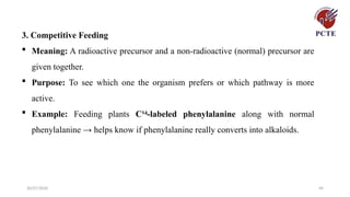 30/07/2026 44
3. Competitive Feeding
 Meaning: A radioactive precursor and a non-radioactive (normal) precursor are
given together.
 Purpose: To see which one the organism prefers or which pathway is more
active.
 Example: Feeding plants C¹ -labeled phenylalanine
⁴ along with normal
phenylalanine → helps know if phenylalanine really converts into alkaloids.
 