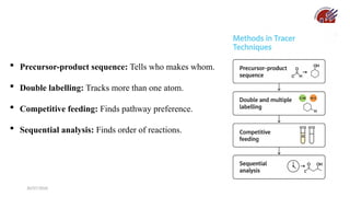 30/07/2026 46
 Precursor-product sequence: Tells who makes whom.
 Double labelling: Tracks more than one atom.
 Competitive feeding: Finds pathway preference.
 Sequential analysis: Finds order of reactions.
 