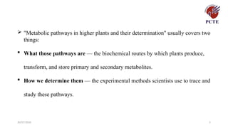 30/07/2026 5
 "Metabolic pathways in higher plants and their determination" usually covers two
things:
 What those pathways are — the biochemical routes by which plants produce,
transform, and store primary and secondary metabolites.
 How we determine them — the experimental methods scientists use to trace and
study these pathways.
 
