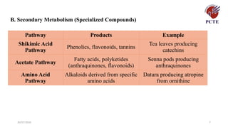 30/07/2026 7
B. Secondary Metabolism (Specialized Compounds)
Pathway Products Example
Shikimic Acid
Pathway
Phenolics, flavonoids, tannins
Tea leaves producing
catechins
Acetate Pathway
Fatty acids, polyketides
(anthraquinones, flavonoids)
Senna pods producing
anthraquinones
Amino Acid
Pathway
Alkaloids derived from specific
amino acids
Datura producing atropine
from ornithine
 