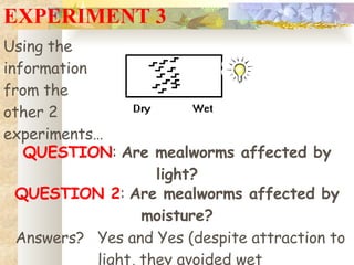 EXPERIMENT 3 QUESTION :  Are mealworms affected by light? QUESTION 2 :  Are mealworms affected by moisture? Using the information from the other 2 experiments… Answers? Yes and Yes (despite attraction to light, they avoided wet 