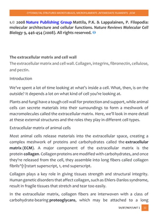 CYTOSKELTAL STRUTURES MICROTUBULES, MICROFILAMENTS ,INTEMEDIATE FILAMENTS ,ECM
SH/BT/NEP/UNIT 1 11
1.© 2008 Nature Publishing Group Mattila, P.K. & Lappalainen, P. Filopodia:
molecular architecture and cellular functions. Nature Reviews Molecular Cell
Biology 9, 446-454 (2008). All rights reserved.
The extracellular matrix and cell wall
The extracellular matrix and cell wall. Collagen, integrins, fibronectin, cellulose,
and pectin.
Introduction
We’ve spent a lot of time looking at what’s inside a cell. What, then, is on the
outside? It depends a lot on what kind of cell you’re looking at.
Plants and fungi have a tough cell wall for protection and support, while animal
cells can secrete materials into their surroundings to form a meshwork of
macromolecules called the extracellular matrix. Here, we’ll look in more detail
at these external structures and the roles they play in different cell types.
Extracellular matrix of animal cells
Most animal cells release materials into the extracellular space, creating a
complex meshwork of proteins and carbohydrates called the extracellular
matrix (ECM). A major component of the extracellular matrix is the
protein collagen. Collagen proteins are modified with carbohydrates, and once
they're released from the cell, they assemble into long fibers called collagen
fibrils^{1}1start superscript, 1, end superscript.
Collagen plays a key role in giving tissues strength and structural integrity.
Human genetic disorders that affect collagen, such as Ehlers-Danlos syndrome,
result in fragile tissues that stretch and tear too easily.
In the extracellular matrix, collagen fibers are interwoven with a class of
carbohydrate-bearing proteoglycans, which may be attached to a long
 