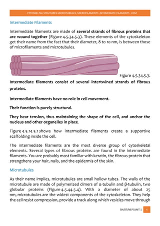 CYTOSKELTAL STRUTURES MICROTUBULES, MICROFILAMENTS ,INTEMEDIATE FILAMENTS ,ECM
SH/BT/NEP/UNIT 1 4
Intermediate Filaments
Intermediate filaments are made of several strands of fibrous proteins that
are wound together (Figure 4.5.34.5.3). These elements of the cytoskeleton
get their name from the fact that their diameter, 8 to 10 nm, is between those
of microfilaments and microtubules.
Figure 4.5.34.5.3:
Intermediate filaments consist of several intertwined strands of fibrous
proteins.
Intermediate filaments have no role in cell movement.
Their function is purely structural.
They bear tension, thus maintaining the shape of the cell, and anchor the
nucleus and other organelles in place.
Figure 4.5.14.5.1 shows how intermediate filaments create a supportive
scaffolding inside the cell.
The intermediate filaments are the most diverse group of cytoskeletal
elements. Several types of fibrous proteins are found in the intermediate
filaments. You are probably most familiar with keratin, the fibrous protein that
strengthens your hair, nails, and the epidermis of the skin.
Microtubules
As their name implies, microtubules are small hollow tubes. The walls of the
microtubule are made of polymerized dimers of α-tubulin and β-tubulin, two
globular proteins (Figure 4.5.44.5.4). With a diameter of about 25
nm, microtubules are the widest components of the cytoskeleton. They help
the cell resist compression, provide a track along which vesicles move through
 