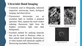• Commonly used in lithography, industrial
inspection, microscopy, lasers, biological
imaging, and observations.
• Fluorescence microscopy- use an
excitation light to irradiate a prepared
specimen. Then, separate the much weaker
radiating fluorescent light from the
brighter excitation light onto dark
background.
• Excellent method for studying materials
that can be made to fluoresce, either in
their natural form (primary fluorescence)
or when treated with chemicals capable of
fluorescing (secondary fluorescence).
Ultraviolet Band Imaging
 