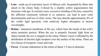 • Lens - made up of concentric layers of fibrous cells. Suspended by fibers that
attach to the ciliary body. Colored by a slightly yellow pigmentation that
increases with age. In extreme cases, excessive clouding of the lens, caused by
the affliction commonly referred to as cataracts, can lead to poor color
discrimination and loss of clear vision. The lens absorbs approximately 8% of
the visible light spectrum, with relatively higher absorption at shorter
wavelengths.
• Retina - Innermost membrane of the eye, which lines the inside of the wall’s
entire posterior portion. When the eye is properly focused, light from an
object outside the eye is imaged on the retina. Pattern vision is afforded by the
distribution of discrete light receptors over the surface of the retina. There are
two classes of receptors: cones and rods.
• Fovea - Circular indentation in the retina of about 1.5 mm in diameter.
 