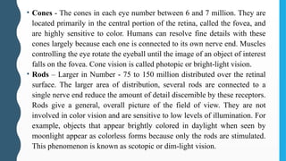 • Cones - The cones in each eye number between 6 and 7 million. They are
located primarily in the central portion of the retina, called the fovea, and
are highly sensitive to color. Humans can resolve fine details with these
cones largely because each one is connected to its own nerve end. Muscles
controlling the eye rotate the eyeball until the image of an object of interest
falls on the fovea. Cone vision is called photopic or bright-light vision.
• Rods – Larger in Number - 75 to 150 million distributed over the retinal
surface. The larger area of distribution, several rods are connected to a
single nerve end reduce the amount of detail discernible by these receptors.
Rods give a general, overall picture of the field of view. They are not
involved in color vision and are sensitive to low levels of illumination. For
example, objects that appear brightly colored in daylight when seen by
moonlight appear as colorless forms because only the rods are stimulated.
This phenomenon is known as scotopic or dim-light vision.
 