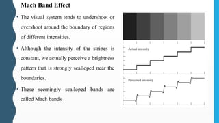 • The visual system tends to undershoot or
overshoot around the boundary of regions
of different intensities.
• Although the intensity of the stripes is
constant, we actually perceive a brightness
pattern that is strongly scalloped near the
boundaries.
• These seemingly scalloped bands are
called Mach bands
Mach Band Effect
 