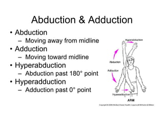 Abduction & Adduction
• Abduction
– Moving away from midline
• Adduction
– Moving toward midline
• Hyperabduction
– Abduction past 180° point
• Hyperadduction
– Adduction past 0° point
 