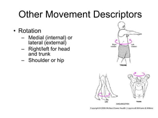 Other Movement Descriptors
• Rotation
– Medial (internal) or
lateral (external)
– Right/left for head
and trunk
– Shoulder or hip
 