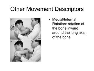 Other Movement Descriptors
• Medial/Internal
Rotation: rotation of
the bone inward
around the long axis
of the bone
 