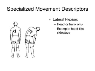 Specialized Movement Descriptors
• Lateral Flexion:
– Head or trunk only
– Example: head tilts
sideways
 