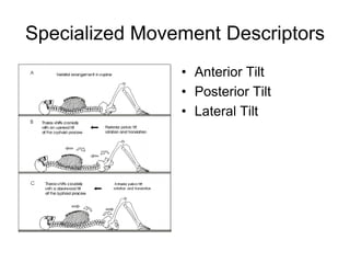 Specialized Movement Descriptors
• Anterior Tilt
• Posterior Tilt
• Lateral Tilt
 