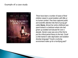 There have been a number of cases of feral
children raised in social isolation with little or
no human contact. Few have captured public
and scientific attention like that of young girl
called Genie. Almost her entire childhood was
spent locked in a bedroom where she had
grown up isolated and abused for over a
decade, Genie’s case was one of the first to
put the critical period theory to the test. Could
a child reared in utter deprivation and isolation
develop language? Could a nurturing
environment make up for a horrifying past?
Example of a case study
 