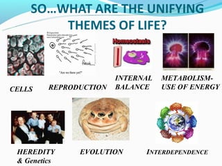 INTERNAL   METABOLISM-
CELLS    REPRODUCTION   BALANCE    USE OF ENERGY




 HEREDITY      EVOLUTION      INTERDEPENDENCE
 & Genetics
 