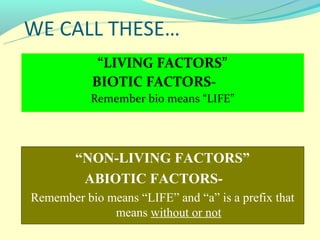 WE CALL THESE…
            “LIVING FACTORS”
           BIOTIC FACTORS-
           Remember bio means “LIFE”




        “NON-LIVING FACTORS”
         ABIOTIC FACTORS-
Remember bio means “LIFE” and “a” is a prefix that
              means without or not
 