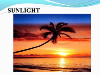 SUNLIGHT
 