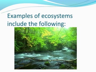 Examples of ecosystems
include the following:
 