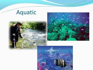 Aquatic
 