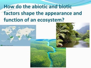 How do the abiotic and biotic
factors shape the appearance and
function of an ecosystem?
 