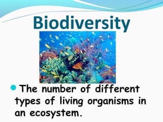 Biodiversity


The number of different
types of living organisms in
an ecosystem.
 