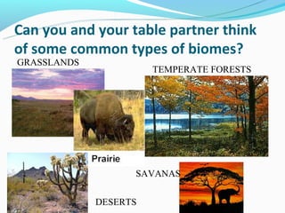 Can you and your table partner think
of some common types of biomes?
GRASSLANDS
                       TEMPERATE FORESTS




                   SAVANAS


             DESERTS
 