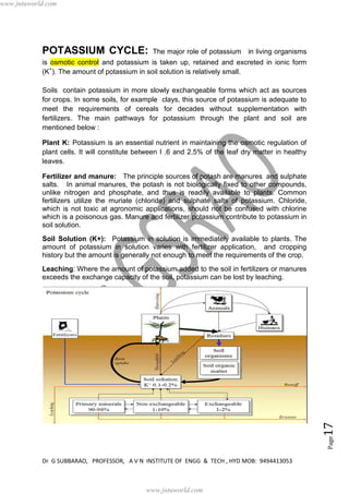 Dr G SUBBARAO, PROFESSOR, A V N INSTITUTE OF ENGG & TECH , HYD MOB: 9494413053
Page17
POTASSIUM CYCLE: The major role of potassium in living organisms
is osmotic control and potassium is taken up, retained and excreted in ionic form
(K+
). The amount of potassium in soil solution is relatively small.
Soils contain potassium in more slowly exchangeable forms which act as sources
for crops. In some soils, for example clays, this source of potassium is adequate to
meet the requirements of cereals for decades without supplementation with
fertilizers. The main pathways for potassium through the plant and soil are
mentioned below :
Plant K: Potassium is an essential nutrient in maintaining the osmotic regulation of
plant cells. It will constitute between I .6 and 2.5% of the leaf dry matter in healthy
leaves.
Fertilizer and manure: The principle sources of potash are manures and sulphate
salts. In animal manures, the potash is not biologically fixed to other compounds,
unlike nitrogen and phosphate, and thus is readily available to plants. Common
fertilizers utilize the muriate (chloride) and sulphate salts of potassium. Chloride,
which is not toxic at agronomic applications, should not be confused with chlorine
which is a poisonous gas. Manure and fertilizer potassium contribute to potassium in
soil solution.
Soil Solution (K+): Potassium in solution is immediately available to plants. The
amount of potassium in solution varies with fertilizer application, and cropping
history but the amount is generally not enough to meet the requirements of the crop.
Leaching: Where the amount of potassium added to the soil in fertilizers or manures
exceeds the exchange capacity of the soil, potassium can be lost by leaching.
www.jntuworld.com
www.jntuworld.com
 