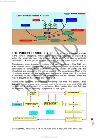 Dr G SUBBARAO, PROFESSOR, A V N INSTITUTE OF ENGG & TECH , HYD MOB: 9494413053
Page18
THE PHOSPHOROUS CYCLE: Phosphorous is present in rocks
in the form of phosphate. When rocks containing phosphate are exposed to
water, the phosphate goes into solution. Plants and Fungi have a symbiotic
relationship . Plants get phosphates from fungi and give them sugar in return.
Phosphorous is an important constituent of cell membrane, DNA, RNA and
ATP. Animals obtain phosphorous from plants through food. Phosphorous is a
component of bones, teeth and shells. When animals or plants die, the
phosphates are returned to the soil or water by the decomposers. Most of the
phosphates escape into the sea through the waters, where part of phosphate
is deposited in the sediments. This phosphorous will be released when the
rock is brought to the surface and weathered.
Marine birds consume phosphorous containing fish from the oceans, their
guano ( Guano is a natural manure composed chiefly of the excrement of sea birds) .which falls
on land as a high content of phosphorous. Thus marine birds and fish play
an important role in returning phosphorous to the cycle.
www.jntuworld.com
www.jntuworld.com
 