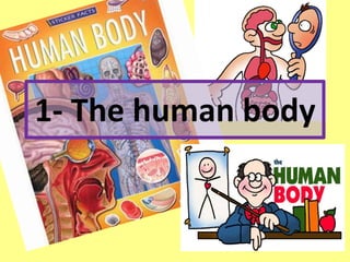 1- The human body 
 