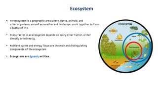 • An ecosystem is a geographic area where plants, animals, and
other organisms, as well as weather and landscape, work together to form
a bubble of life.
• Every factor in an ecosystem depends on every other factor, either
directly or indirectly.
• Nutrient cycles and energy flows are the main and distinguishing
components of the ecosystem
• Ecosystems are dynamic entities.
Ecosystem
 